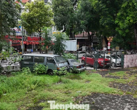 Cảnh hoang tàn bên trong khu ‘đất vàng’ tại phường Hai Bà Trưng vừa bị thu hồi