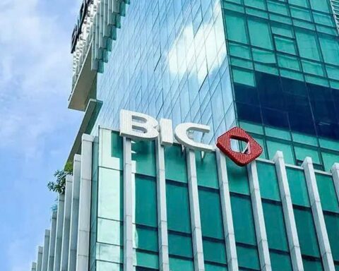 BIC sắp chi hơn 240 tỷ đồng trả cổ tức năm 2025