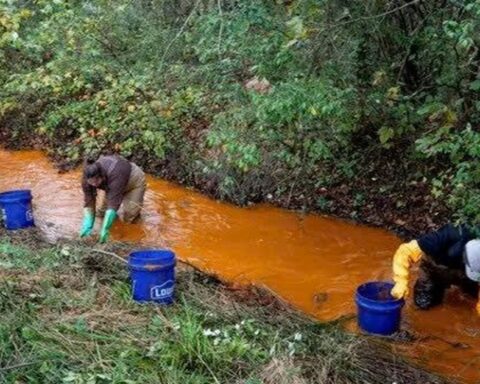 Phát hiện “mỏ vàng” 40 tấn ẩn trong hố nước thải