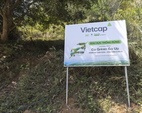 Vietcap tiếp tục trao tặng 8.000 cây, thành công khép lại Go Green Go Up mùa 2