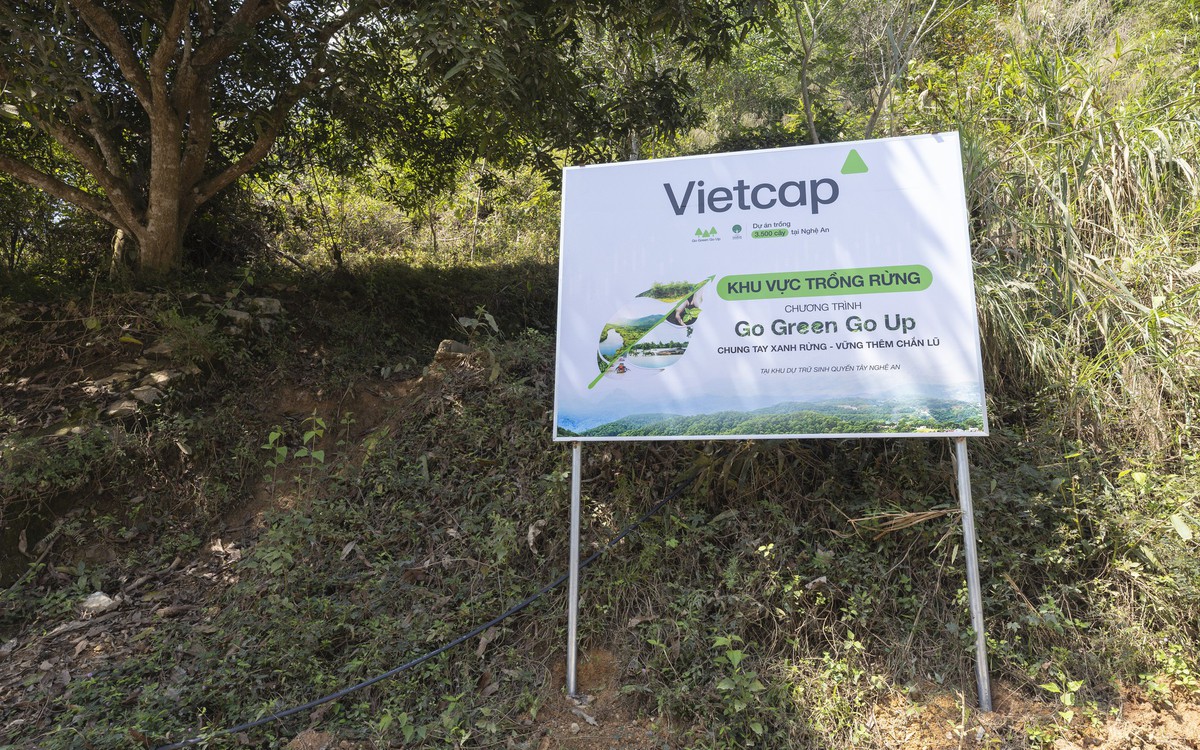 Vietcap tiếp tục trao tặng 8.000 cây, thành công khép lại Go Green Go Up mùa 2