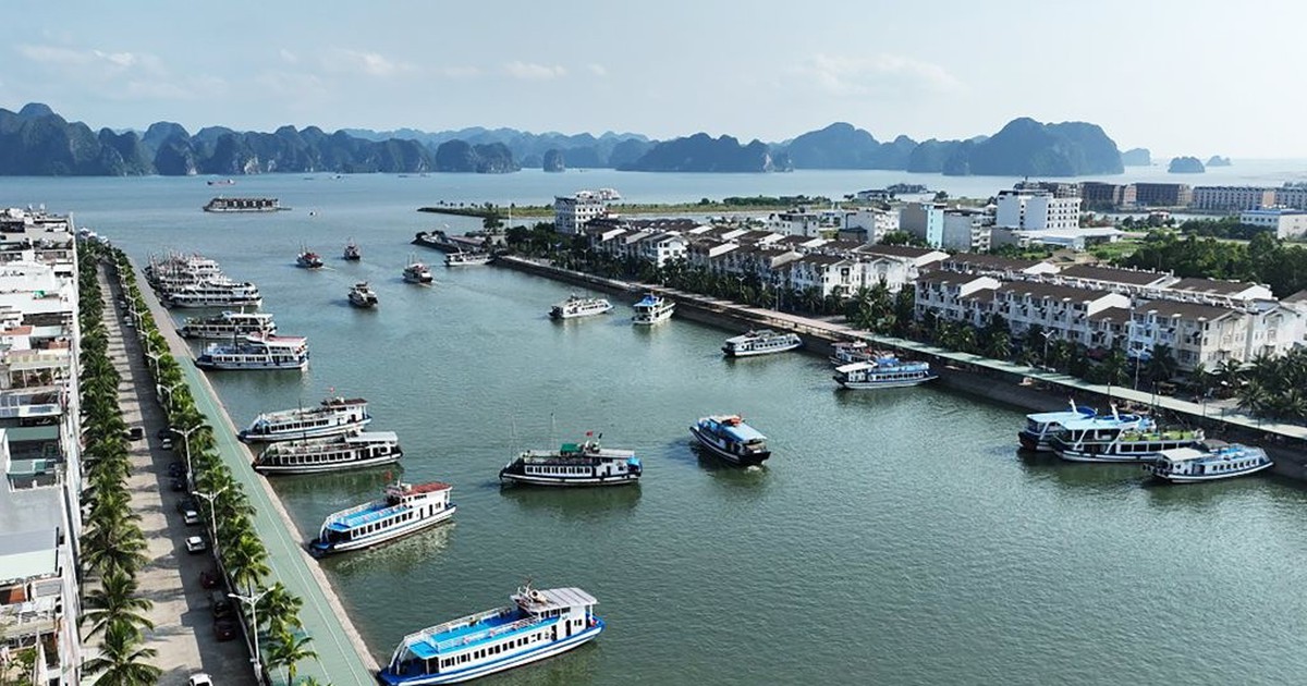 Từng bị xem là “điên rồ khi đổ tiền xuống biển nhiều như đất”, đại gia BĐS này đã làm nên điều kỳ diệu
