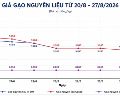 Thị trường hàng hóa ngày 27/8: Heo hơi chững ở vùng cao, gạo tiếp đà giảm