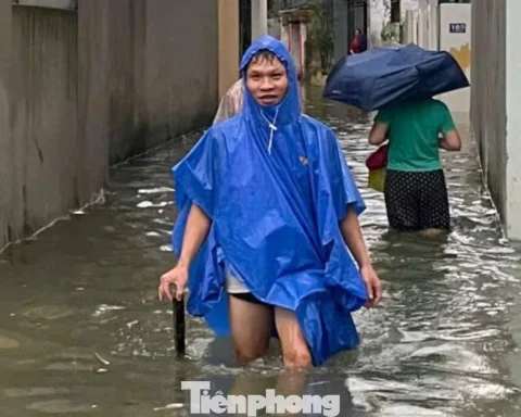 Phó Chủ tịch tỉnh Thanh Hóa chỉ đạo kiểm tra khu phố cứ mưa là ngập
