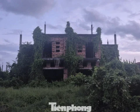 Đồng Nai cảnh báo tình trạng đầu cơ, làm giá nhà đất đón quy hoạch