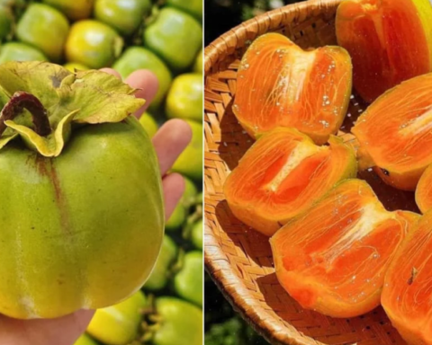 4 loại trái cây nhiều người mê nhưng dạ dày lại không “ưa”: Biết để ăn cho đúng