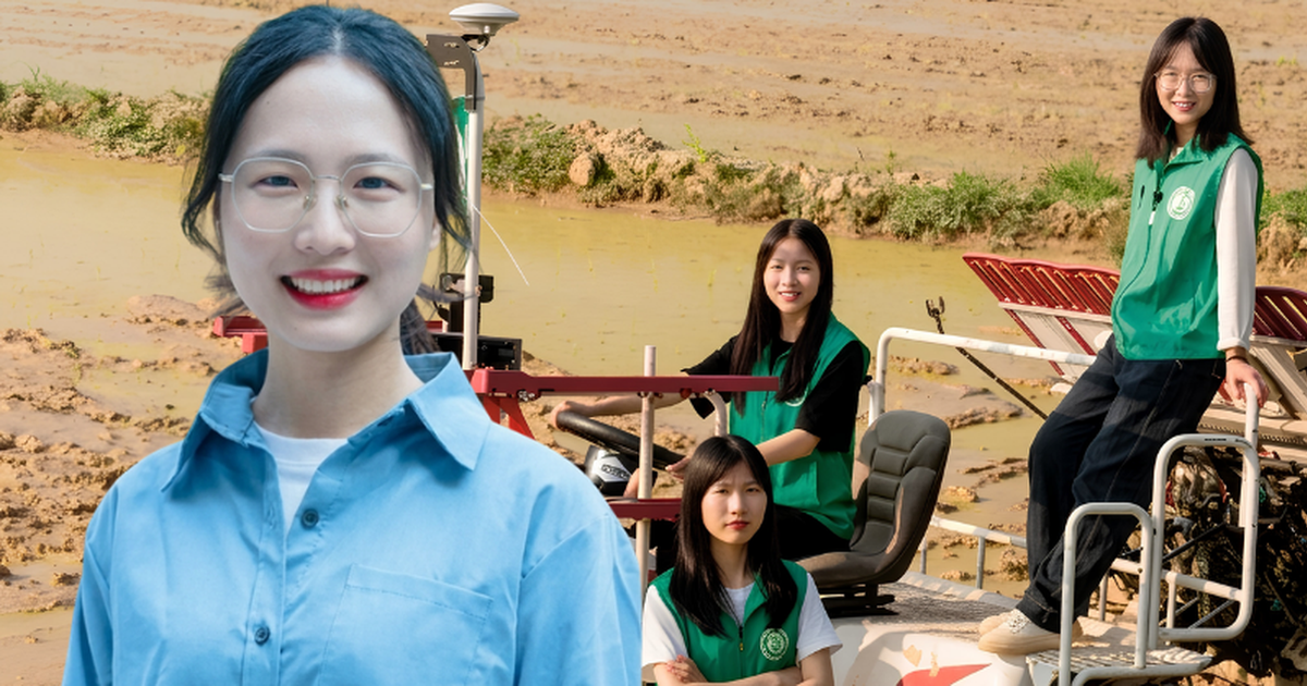 Nhân viên văn phòng SN 1991 về quê làm ruộng, giúp cả làng tăng thu nhập hơn 3,8 tỷ đồng/năm