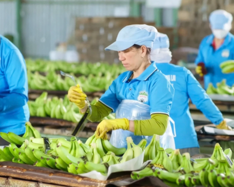 HAGL đã bán gần 15 triệu cổ phần tại HGI với giá thấp hơn 25% giá IPO