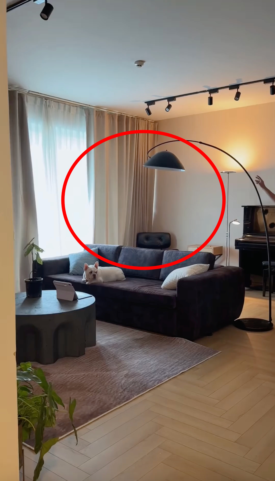 Binz đến tổ ấm mới của Châu Bùi- Ảnh 2.