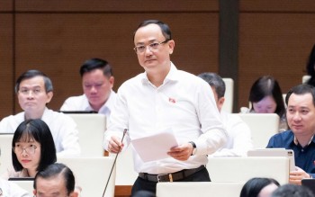 Trao quyền mạnh hơn để tạo động lực phát triển