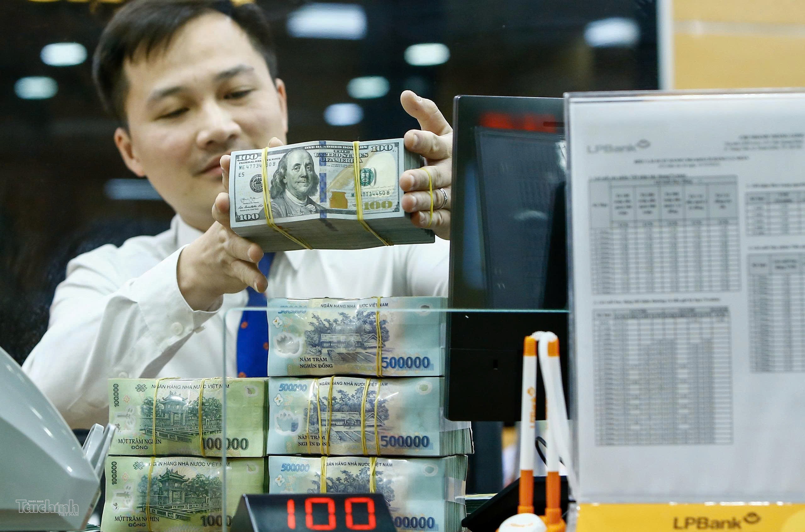 Việt Nam phải xây hạ tầng tài chính trước khi mở rộng quy mô dự án để hút vốn xanh Việt Nam phải xây hạ tầng tài chính trước khi mở rộng quy mô dự án để hút vốn xanh