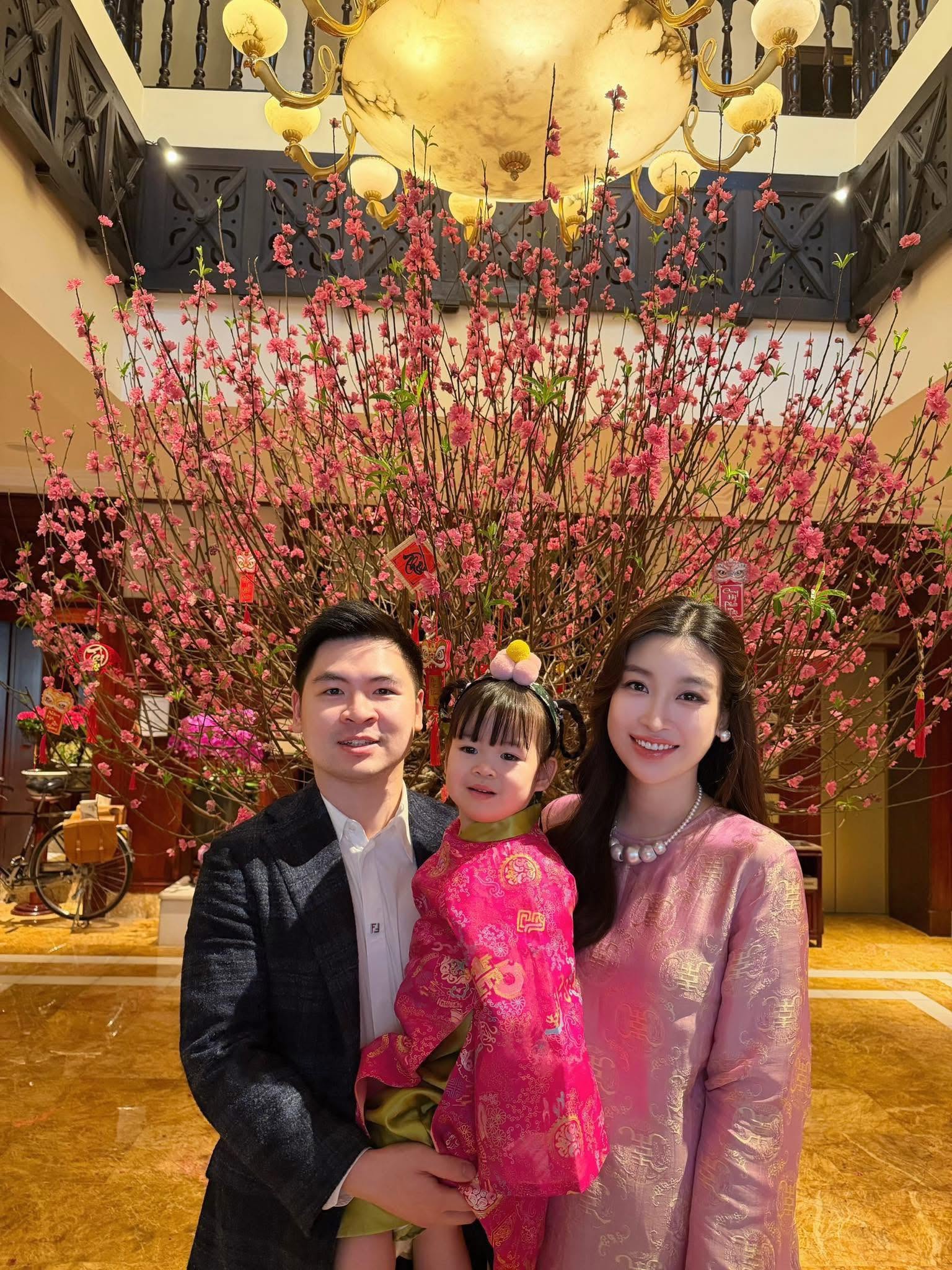 Thay đổi lớn trong hôn nhân Chủ tịch Đỗ Vinh Quang và hoa hậu Đỗ Mỹ Linh- Ảnh 5.
