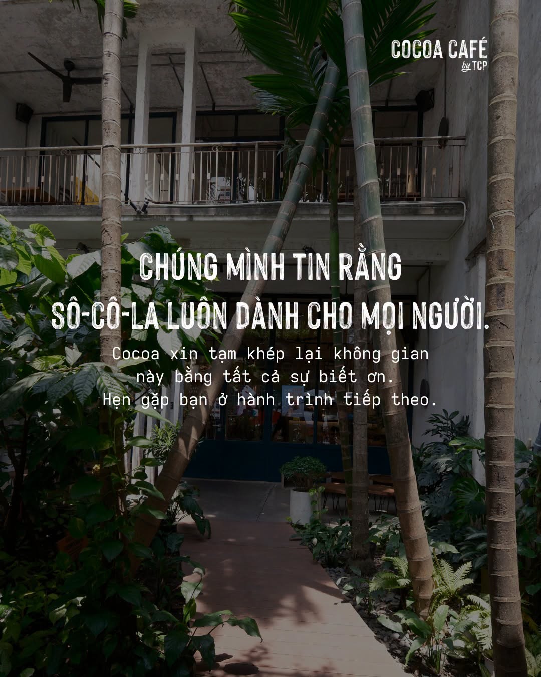 Tăng giá lên 90.000 đồng, The Cocoa Project vẫn phải đóng cửa sau 5 năm- Ảnh 2.