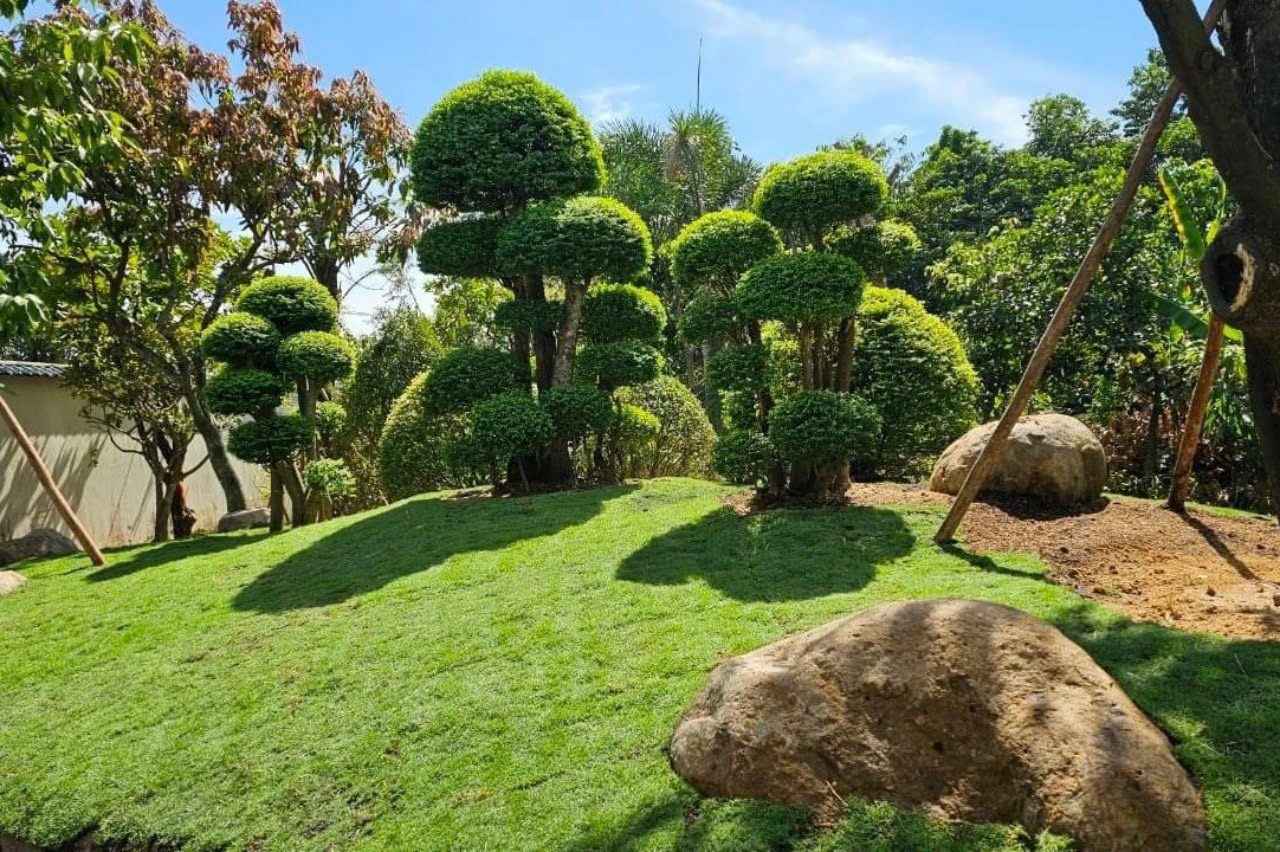 Nhà vườn rộng 3.000m2 của người đẹp Tây Đô Việt Trinh- Ảnh 8.