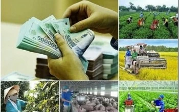 Tích hợp 4 chương trình mục tiêu quốc gia: Không để gián đoạn chính sách, nguồn lực Tích hợp 4 chương trình mục tiêu quốc gia: Không để gián đoạn chính sách, nguồn lực