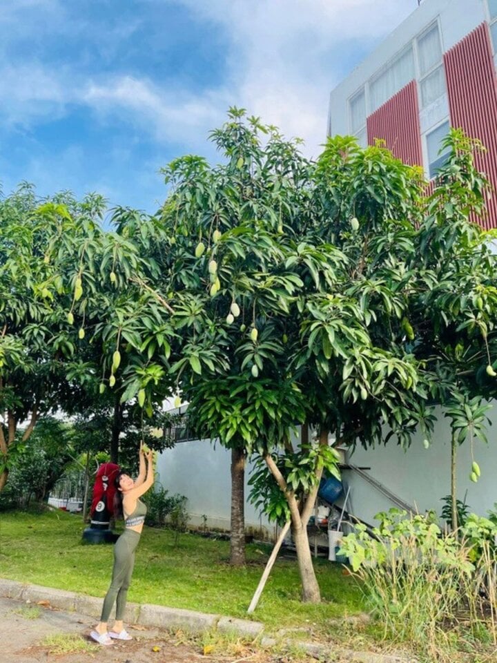 Căn nhà ở Việt Nam của Ốc Thanh Vân- Ảnh 3.
