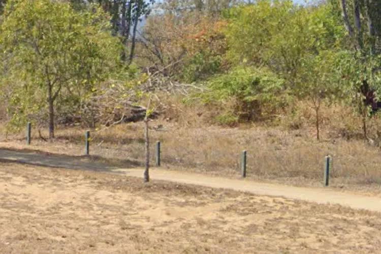 Phát hiện một thiếu niên bị tra tấn, quấn trong nilon và trói vào cây trong bụi rậm- Ảnh 1.