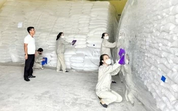 Cục Dự trữ Nhà nước ban hành công điện chủ động ứng phó với áp thấp nhiệt đới