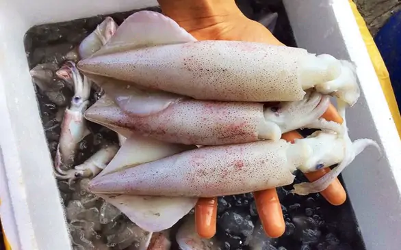 Bảng xếp hạng 7 loại rau củ tốt nhất để kéo dài tuổi thọ: Món nào cũng "quen mặt" ngoài chợ Việt! - Ảnh 3.