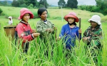 Đề xuất đổi cách phân bổ nguồn lực cho Chương trình mục tiêu quốc gia Đề xuất đổi cách phân bổ nguồn lực cho Chương trình mục tiêu quốc gia