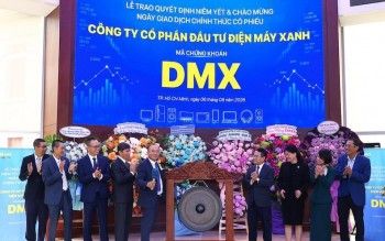 Cổ phiếu Điện Máy Xanh (DMX) tăng 2,5% trong phiên 