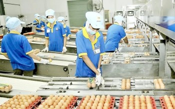 Gần 126 nghìn doanh nghiệp 