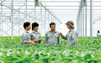Quy định mới về đăng ký tổ hợp tác, hợp tác xã, liên hiệp hợp tác xã