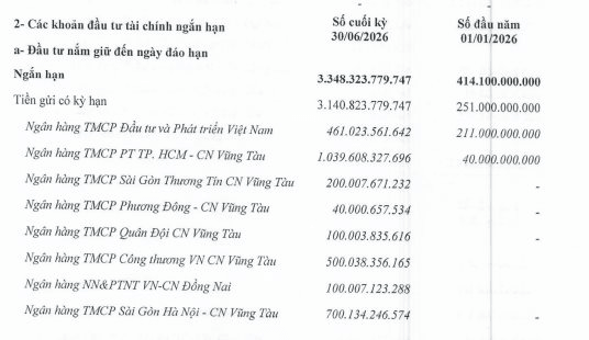 'Cất' hơn 3.140 tỷ đồng trong ngân hàng, doanh thu tài chính đóng góp gần 49% lợi nhuận quý II của DIG- Ảnh 1.