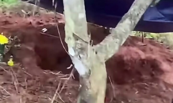Bắt giam kẻ giết nữ nhân viên thư viện rồi phi tang thi thể ở Đắk Lắk- Ảnh 2.