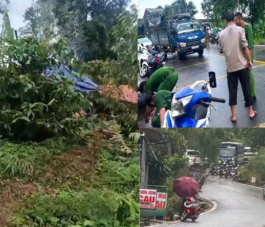 Vụ nữ nhân viên thư viện trường nghi bị đồng nghiệp sát hại, chôn trong rẫy: Hiệu trưởng nói gì về nghi phạm?- Ảnh 1.