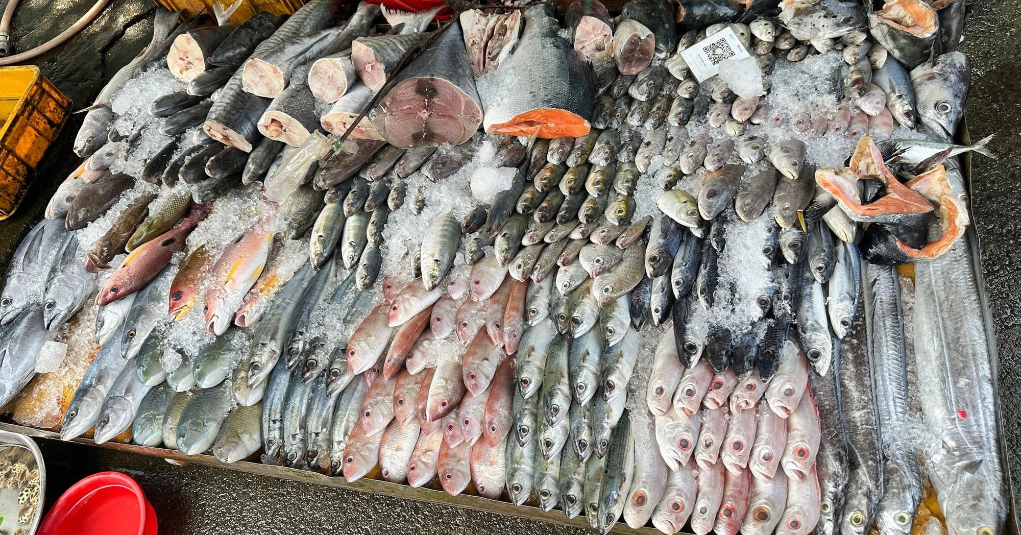5 loại cá ngon, bổ ngang cá ngoại nhưng chỉ rẻ bằng 1 nửa, rất sẵn ở chợ Việt- Ảnh 1.
