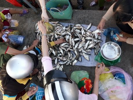 5 loại cá ngon, bổ ngang cá ngoại nhưng chỉ rẻ bằng 1 nửa, rất sẵn ở chợ Việt- Ảnh 10.