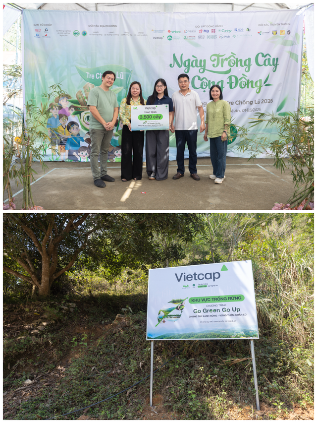 Vietcap tiếp tục trao tặng 8.000 cây, thành công khép lại Go Green Go Up mùa 2- Ảnh 3. Vietcap tiếp tục trao tặng 8.000 cây, thành công khép lại Go Green Go Up mùa 2- Ảnh 3.