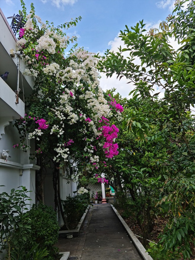 Nhà vườn rộng 3.000m2 của người đẹp Tây Đô Việt Trinh- Ảnh 9.