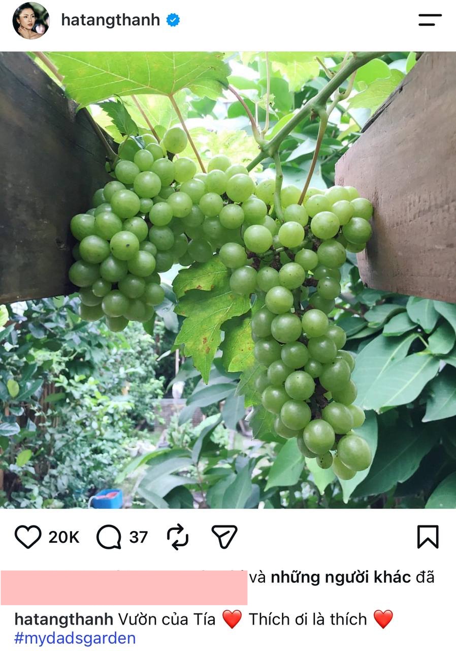 Căn nhà của bố mẹ ruột Tăng Thanh Hà  - Ảnh 3.