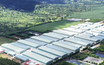 Lợi nhuận của Hoàng Anh Gia Lai tăng vọt, vượt 2.290 tỷ đồng sau 6 tháng