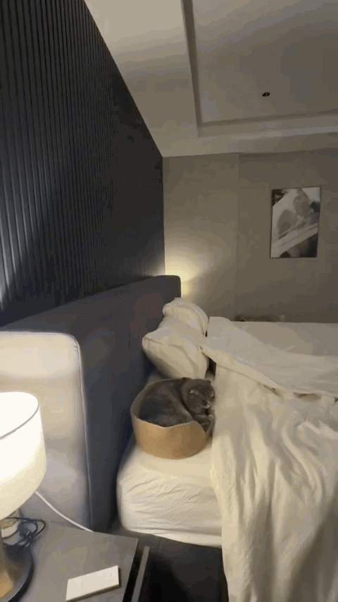 Tiểu thư Hà thành lấy chồng Thạc sĩ: Mua penthouse 11 tỷ làm nhà tân hôn, ở 2 năm mới nhận ra có một thứ nên thay đổi- Ảnh 12.