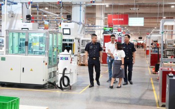 Cục Thuế hỏa tốc triển khai gia hạn nộp thuế và tiền thuê đất năm 2026