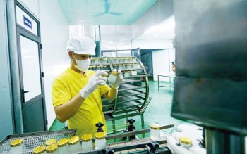 Tạo một khung thể chế vững chắc để bồi đắp năng lực nội sinh