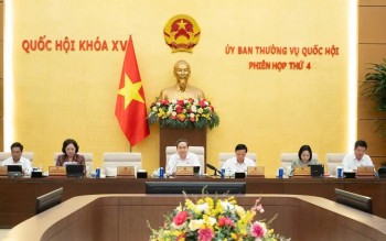 Sửa Luật Đất đai: Đổi mới quản trị để giải phóng nguồn lực đất đai