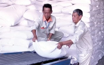 Kiểm tra việc đấu thầu, nhập gạo dự trữ quốc gia