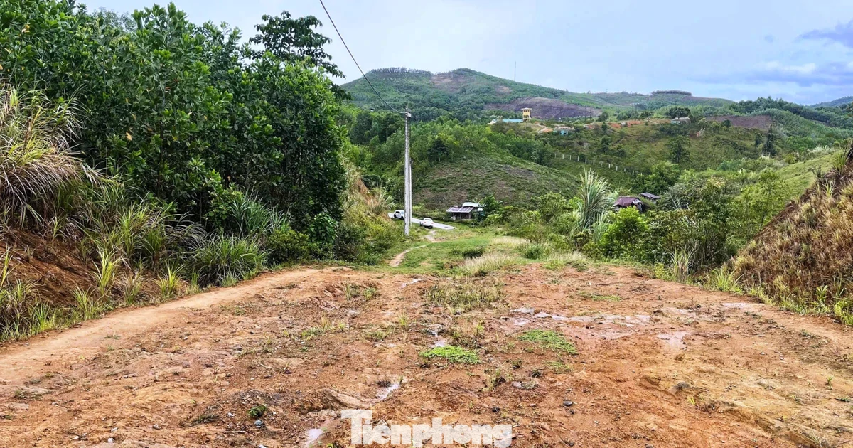 Kiểm điểm nhiều cá nhân, tập thể vụ khu tái định cư có 30/44 lô đất không thể làm nhà