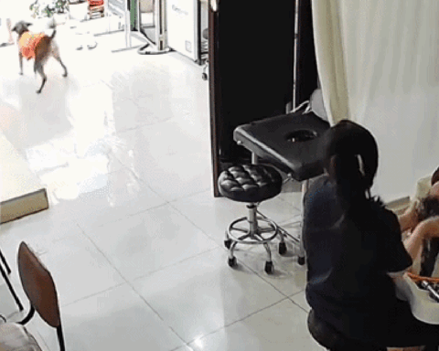 Cảnh tượng bất ngờ trong tiệm gội đầu tại TP.HCM hút 1,5 triệu lượt xem
