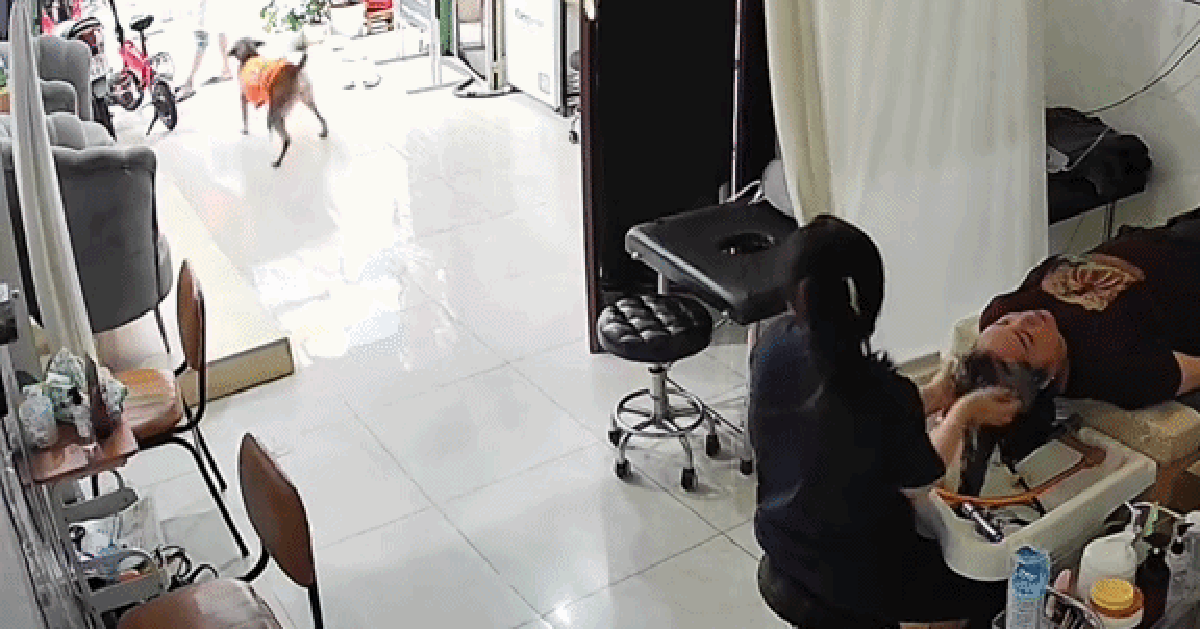 Cảnh tượng bất ngờ trong tiệm gội đầu tại TP.HCM hút 1,5 triệu lượt xem