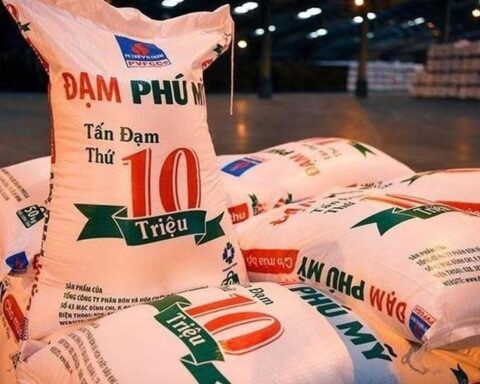 Thù lao lãnh đạo cấp cao Đạm Phú Mỹ (DPM) tăng gần 57%, có trường hợp tăng hơn 14,6 lần