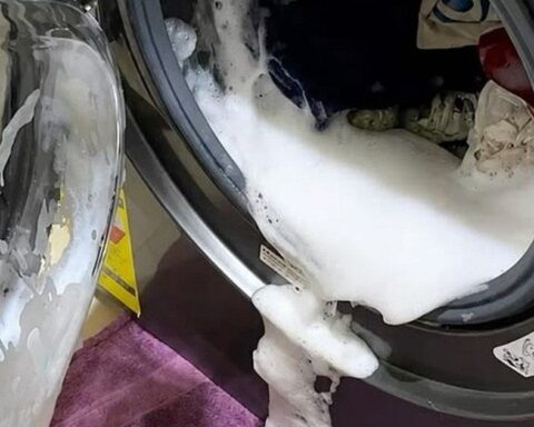 5 sai lầm khiến máy giặt “xịn” mấy cũng hỏng, bệnh tật cả gia đình: Cái số 4 ai cũng từng làm!
