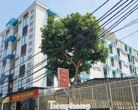 ‘Thủ phủ’ chung cư mini ‘cháy’ phòng cho thuê