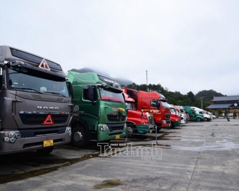 Quy định về chỉ tiêu thông tin, mẫu chứng từ khai báo khi làm thủ tục xuất nhập cảnh, quá cảnh đối với phương tiện vận tải