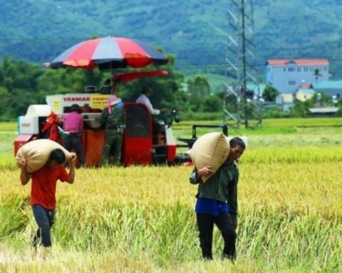 Đề xuất cơ chế mới để vận hành Chương trình mục tiêu quốc gia sau hợp nhất