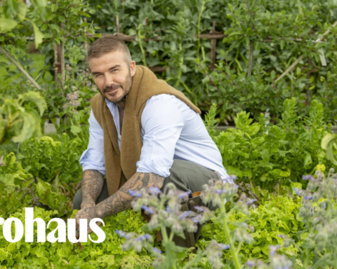 Khu vườn trồng rau nuôi gà 350 tỷ của Beckham